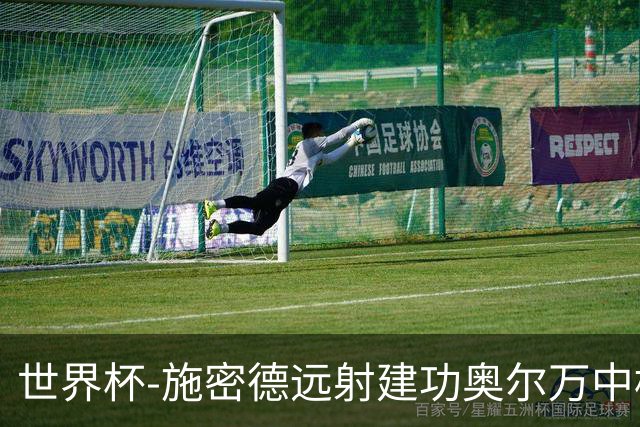 世界杯-施密德远射建功奥尔万中框 半场奥地利1-0约旦