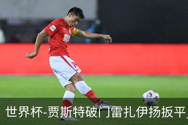 世界杯-贾斯特破门雷扎伊扬扳平 半场伊朗1-1新西兰